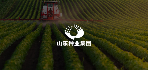 考试云客户：山东种业